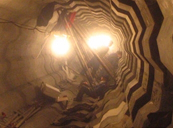 热电厂 锅炉 焚化炉及石化